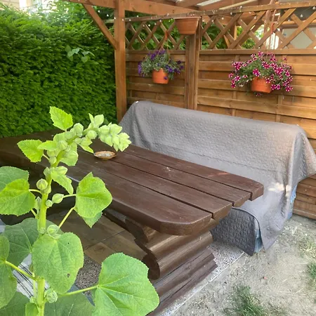 Forum - Przy Plazy 招待所 德兹维济诺