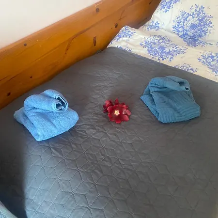 招待所 Forum - Przy Plazy