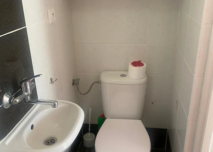 Forum - Przy Plazy Dźwirzyno